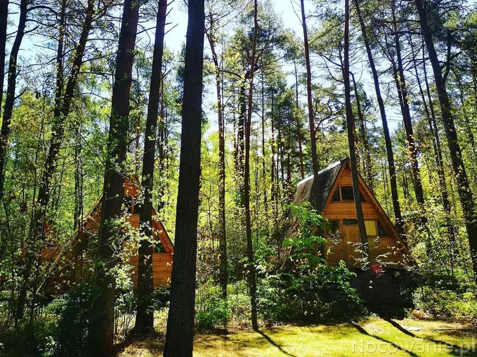 Osrodek Wypoczynkowy Zakatek Vila Kąty Rybackie Exterior foto