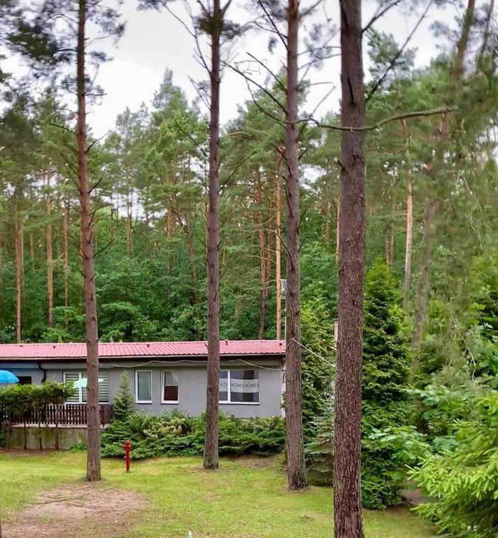 Osrodek Wypoczynkowy Zakatek Vila Kąty Rybackie Exterior foto